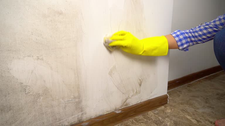 Best Mold Remediation for Healthcare Facilities  in USA